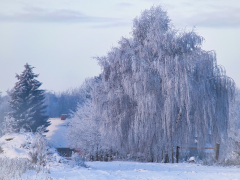 Winter in Wismar