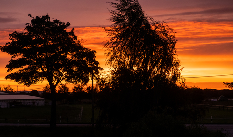 Wismar Sunrise
